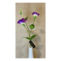 Barbara, Lisianthus, Lilla H 67 cm-Barbara-Minlillebutik.dk