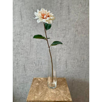 Barbara, Dahlia, Creme, H 71 cm-Barbara-Minlillebutik.dk