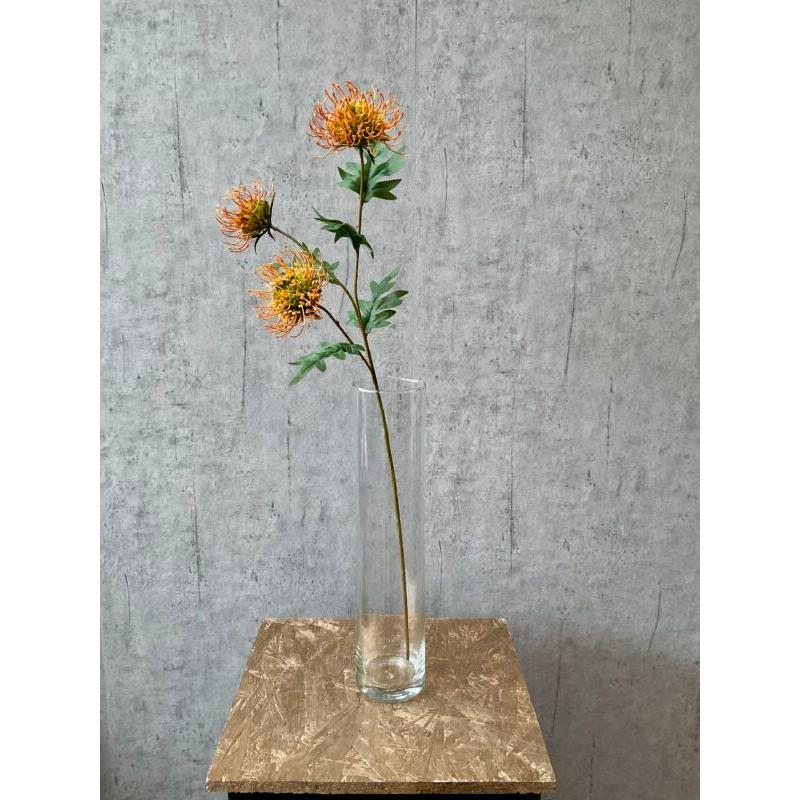 Barbara, Protea, Orange, H 71 cm-Barbara-Minlillebutik.dk