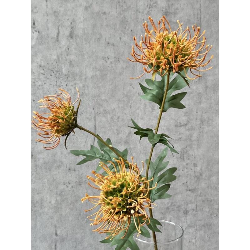 Barbara, Protea, Orange, H 71 cm-Barbara-Minlillebutik.dk