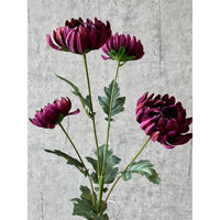Barbara, Chrysanthemum, Purple, H 83 cm-Barbara-Minlillebutik.dk