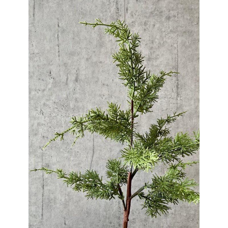 Barbara, Cypres, Grøn, 81 cm-Barbara-Minlillebutik.dk