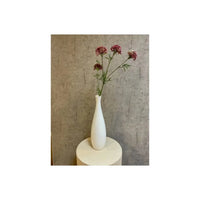 Barbara, Skærmblomst, Fuchsia H 72 cm-Barbara-Minlillebutik.dk
