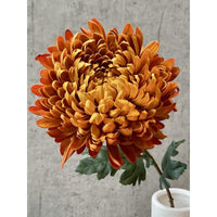 Barbara, Chrysanthemum, Lys Orange, H 75 cm-Barbara-Minlillebutik.dk