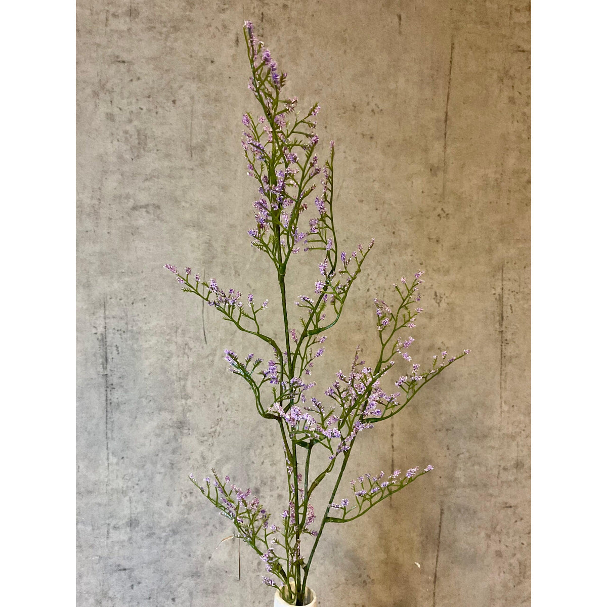 Barbara, Limonium gren, Lys lilla H 83 cm-Barbara-Minlillebutik.dk