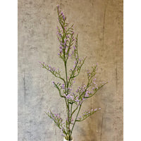 Barbara, Limonium gren, Lys lilla H 83 cm-Barbara-Minlillebutik.dk