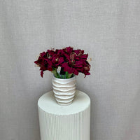 Barbara, Amaryllis Bordeaux h 31 cm
