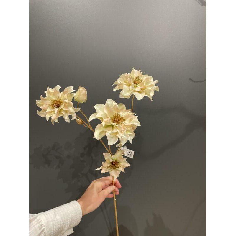 Barbara, Julerose, Creme m/guld, 66 cm-Barbara-Minlillebutik.dk