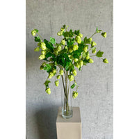 Barbara, Humle, Grøn, H 77 cm-Barbara-Minlillebutik.dk