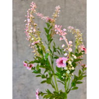 Barbara, Phytolacca, Rosa H 72 cm-Barbara-Minlillebutik.dk