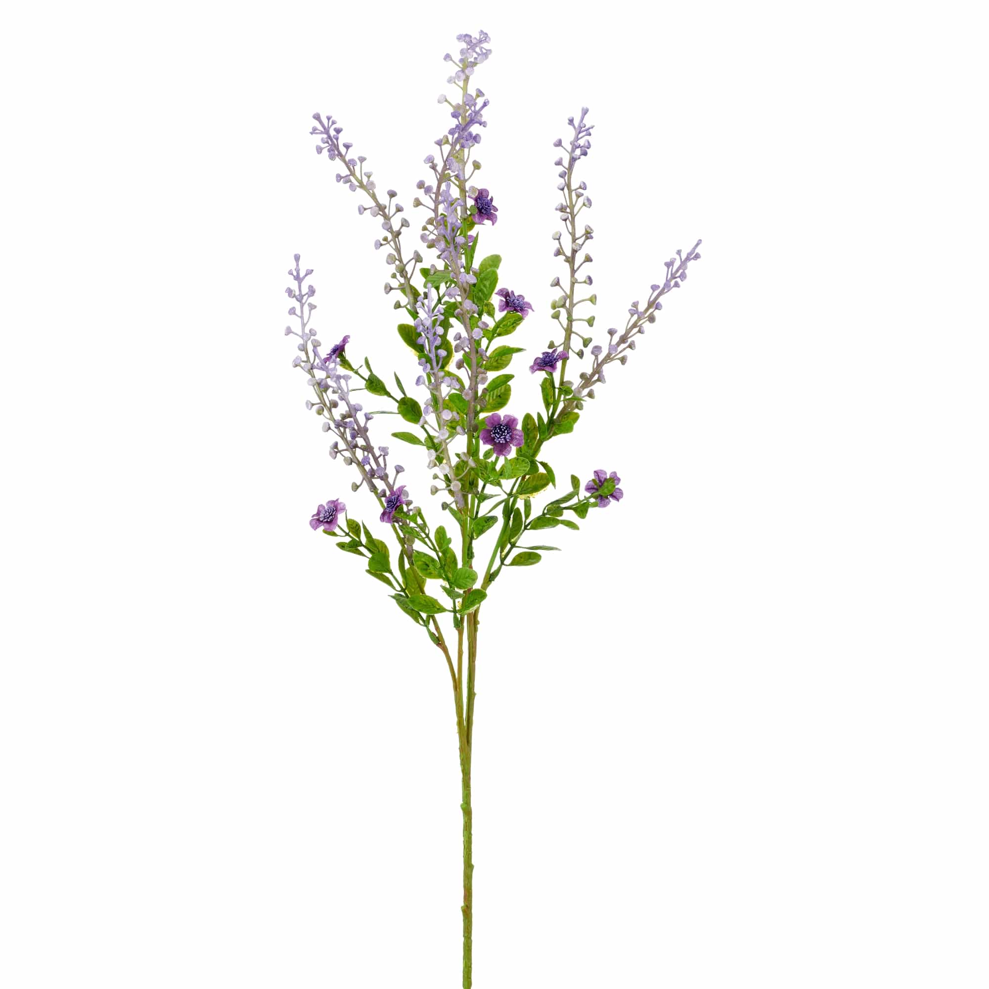 Barbara, Phytolacca, Lilla H 72 cm-Barbara-Minlillebutik.dk