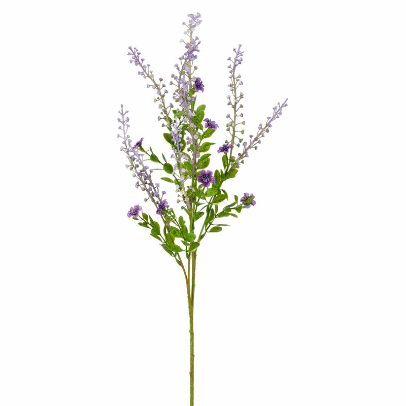 Barbara, Phytolacca, Lilla H 72 cm-Barbara-Minlillebutik.dk