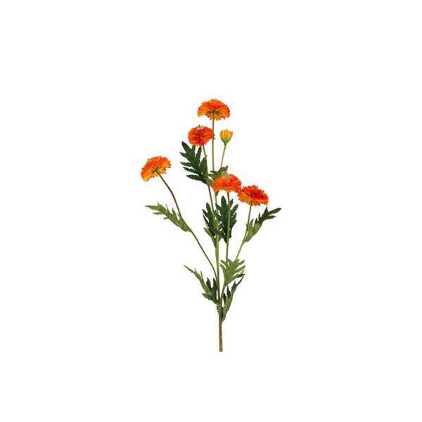 Barbara, Helichrysum, Orange H 68 cm-Barbara-Minlillebutik.dk