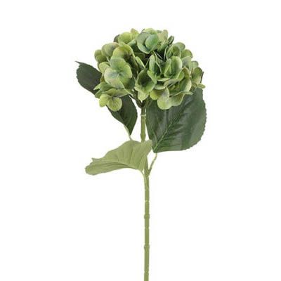 Barbara, Hortensia, Grøn H 65 cm-Barbara-Minlillebutik.dk