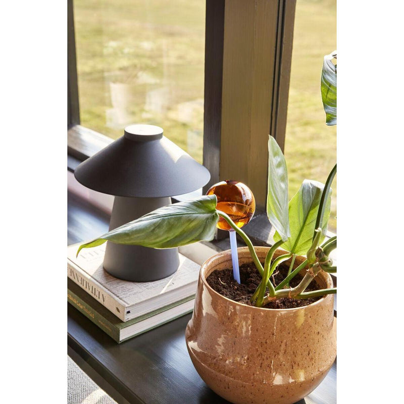 Hübsch, Flora Aqua globe, Amber/Blå-Hübsch-Minlillebutik.dk