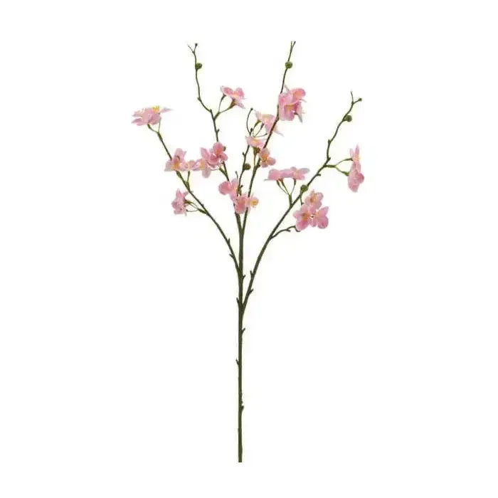 Barbara, Kvædegren, Rosa H 73 cm-Barbara-Minlillebutik.dk
