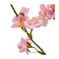 Barbara, Kvædegren, Rosa H 73 cm-Barbara-Minlillebutik.dk
